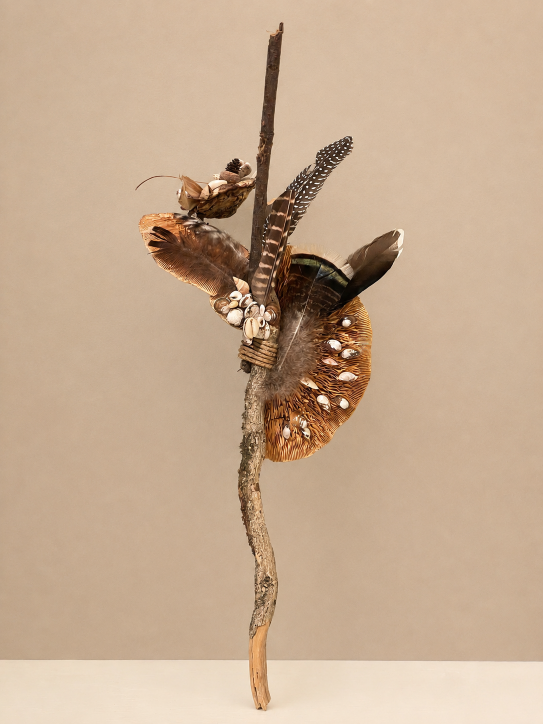 L’Ala che Cresce — Clavis Mutationis, 25 × 52 cm