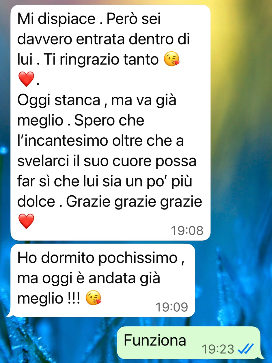 Screenshot di un messaggio: «Però sei davvero entrata dentro di lui. Ti ringrazio tanto. Spero che l'incantesimo oltre che a svelarci il suo cuore possa far sì che lui sia un po' più dolce. Grazie grazie grazie» — «Funziona»